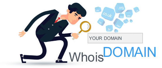 whois domain